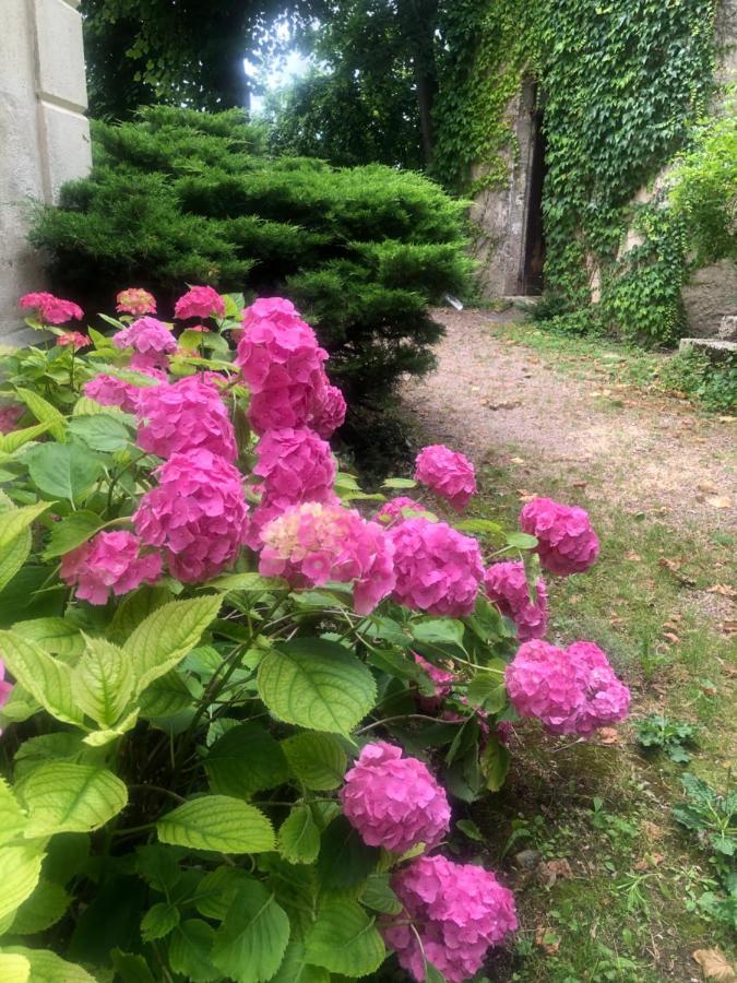 Demeure Des Payratons Bed & Breakfast Saint-Gerand-le-Puy ภายนอก รูปภาพ
